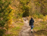 Verdwalen in het groen: de mooiste natuurgebieden van Overijssel