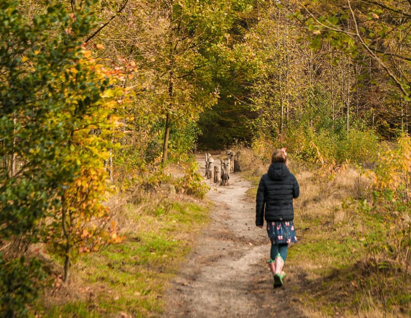 Verdwalen in het groen: de mooiste natuurgebieden van Overijssel