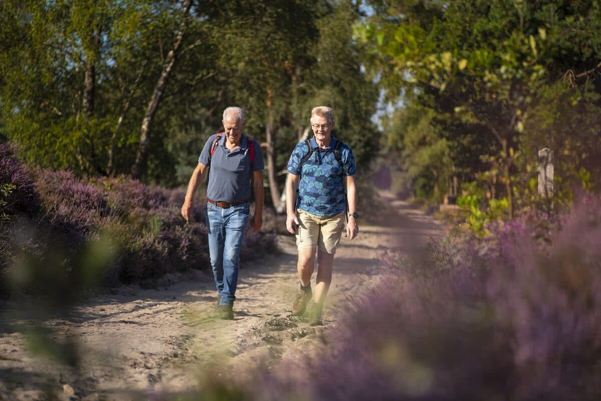 Fietsen in Salland: de mooiste routes en beste startpunten