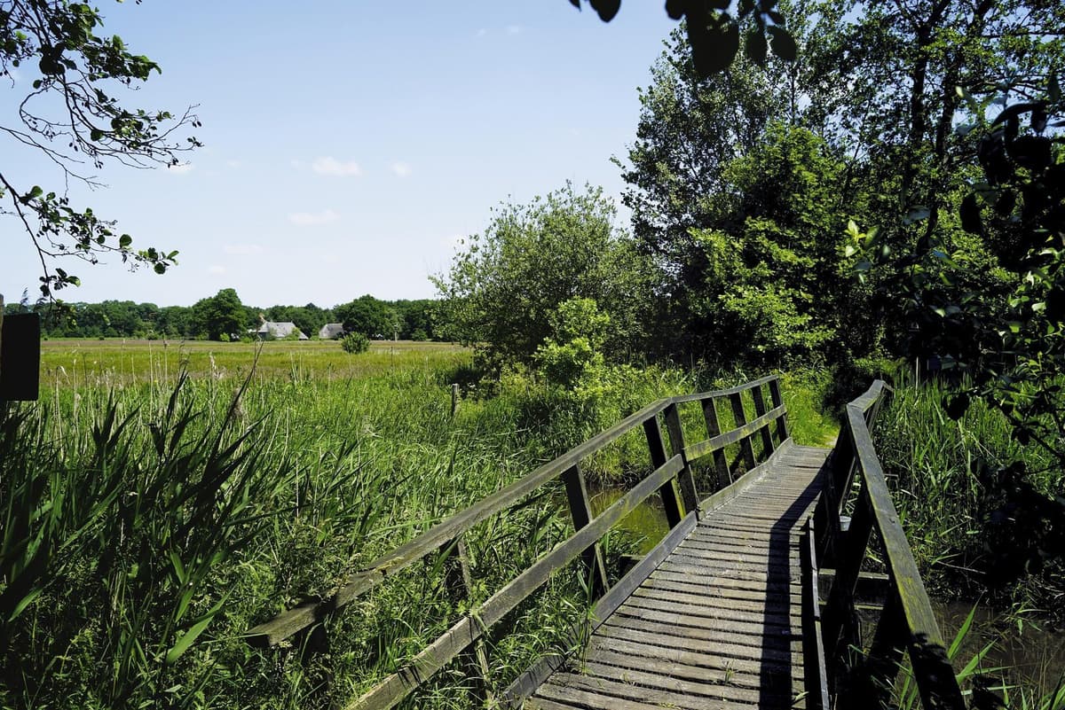 Camping Zomerlicht - kindercampings in Overijssel