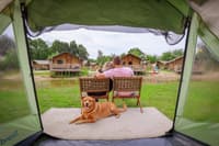 Top 12 Kindercampings in Overijssel: De Ultieme Gids voor een Gezinsvakantie