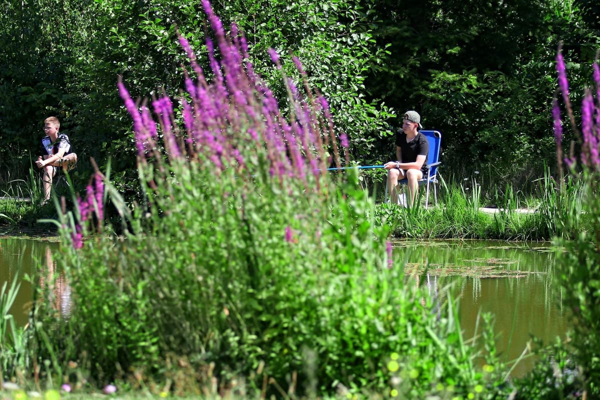 't Rheezerwold - kindercampings in Overijssel