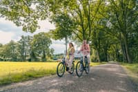 Wandelen in de Weerribben: ontdek de mooiste routes en paden