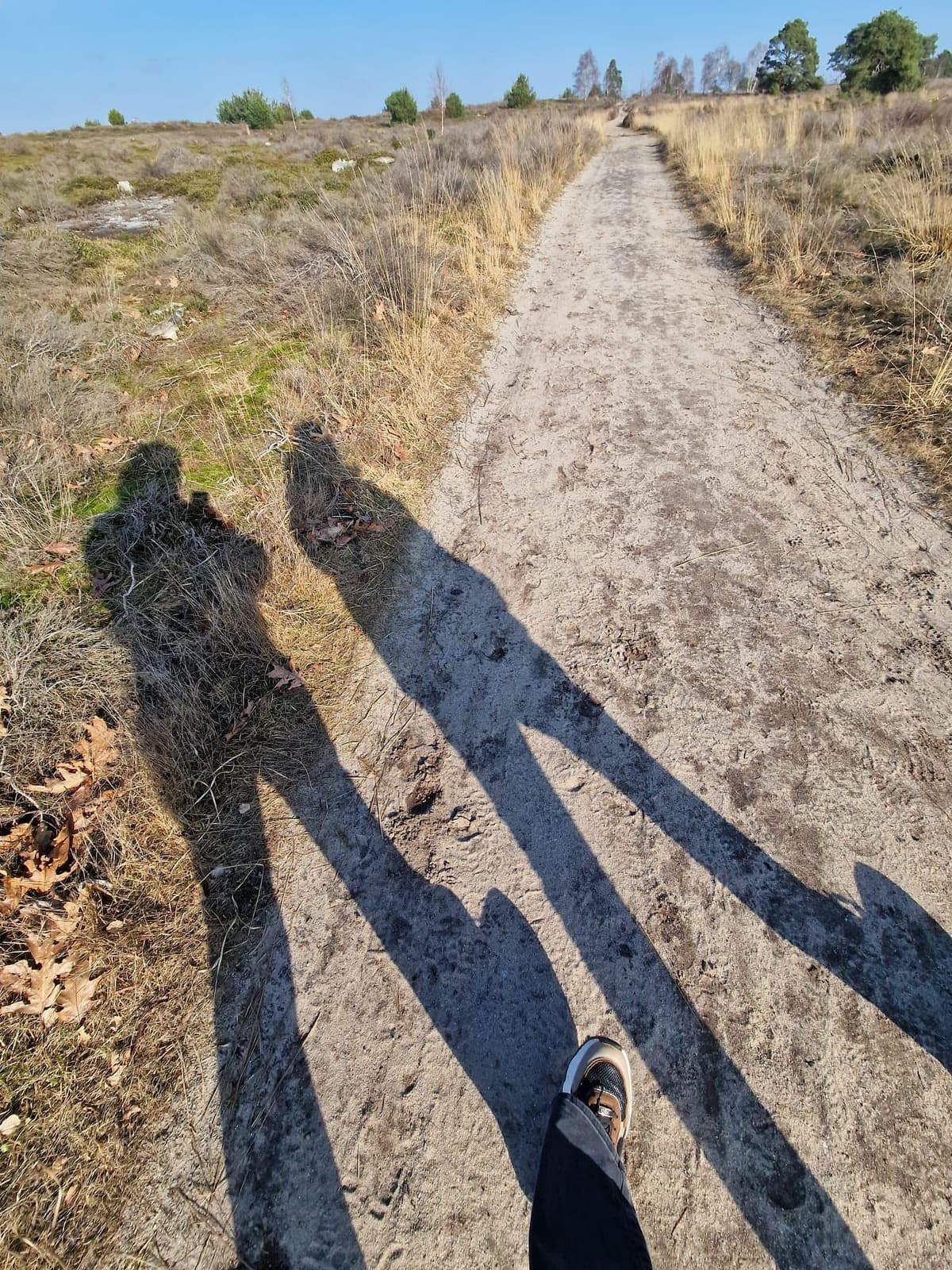 Vakantiepark Hellendoorn - wandelen