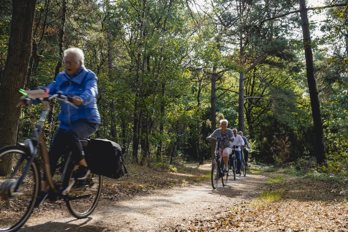 Vakantiepark Mölke - Fietsen in Overijssel