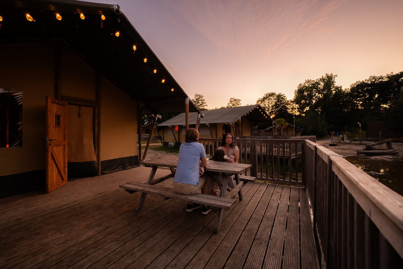 De 6 mooiste natuurhuisjes op de Sallandse Heuvelrug