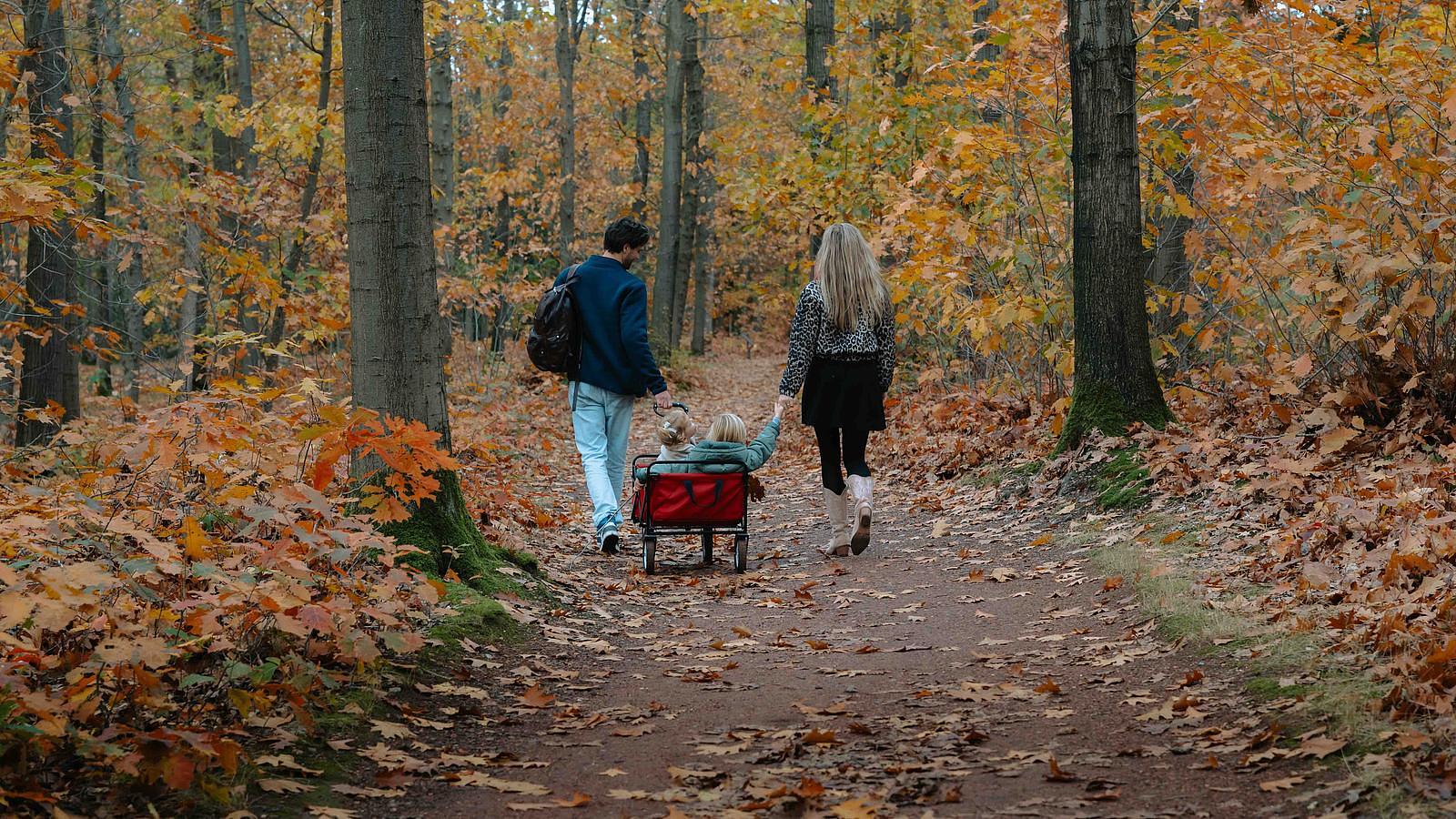 Weekendje weg in Twente? Ontdek deze 4 fantastische vakantieparken