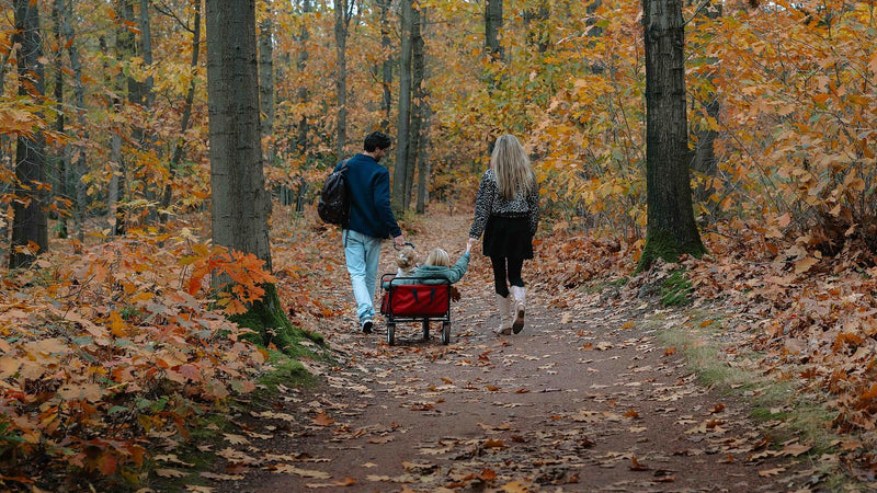 Weekendje weg in Twente? Ontdek deze 4 fantastische vakantieparken